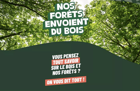 Foret Envoi Bois